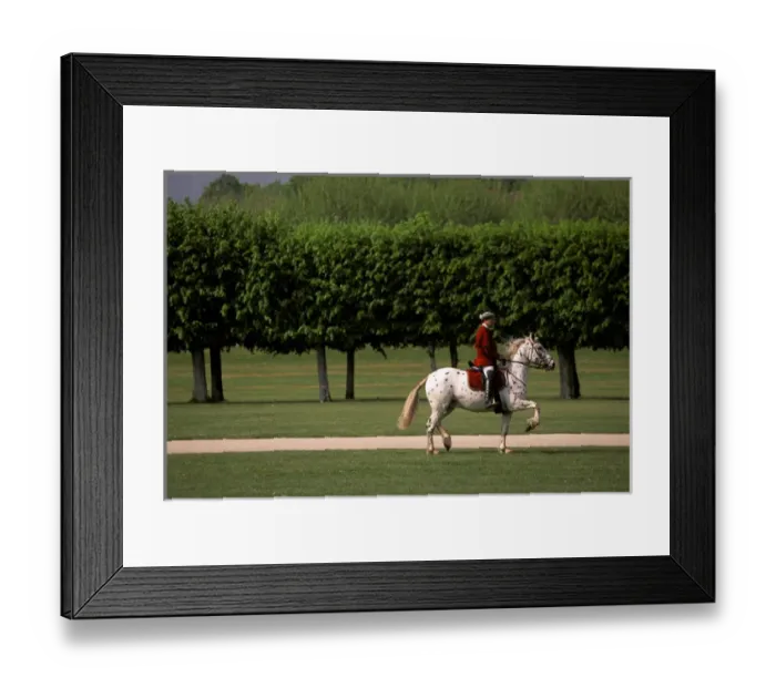 Framed Print : Europe, France, Loire Valley. Chateau Chambord, equestrian show preperations Framed Print : Europe, France, Loire Valley. Chateau Chambord, equestrian show preperations