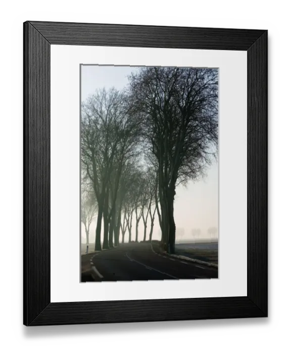 Framed Print : Europe, France, Burgundy, Cote D Or, GENLIS: Tree lined country Road in Morning Mist-Rt