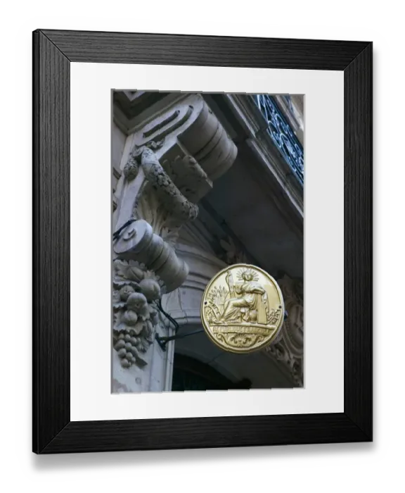 Framed Print : FRANCE-Jura-Doubs-BESANCON: French Government Seal - City Hall Framed Print : FRANCE-Jura-Doubs-BESANCON: French Government Seal - City Hall