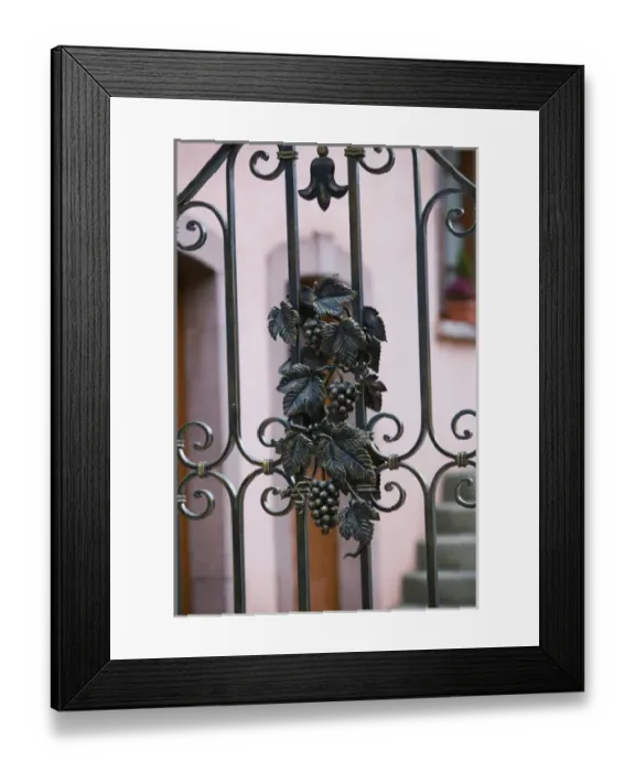 Framed Print : FRANCE-Alsace (Haut Rhin)-Eguisheim: Vineyard Gate Detail