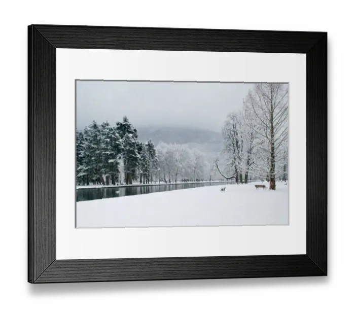 Framed Print : FRANCE-French Alps (Isere)-VIZILLE: Chateau de Vizille Park after winter storm