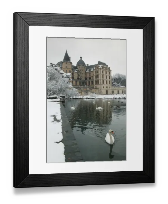 Framed Print : FRANCE-French Alps (Isere)-VIZILLE: Chateau de Vizille Park after winter stormSwan Lake