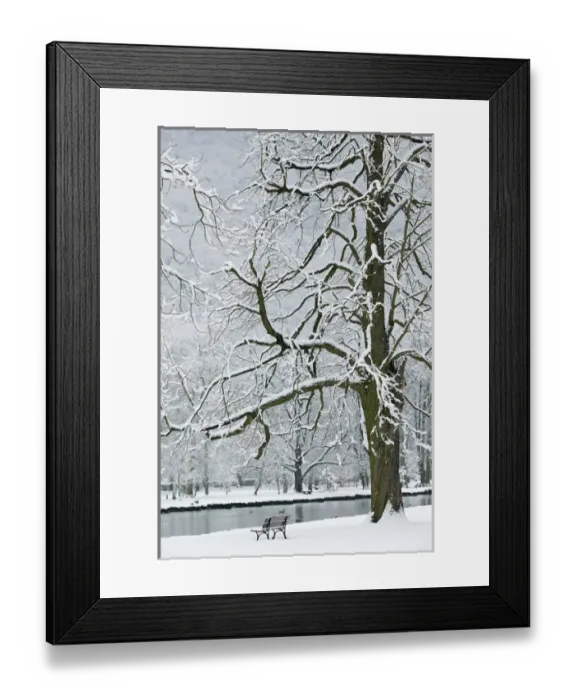Framed Print : FRANCE-French Alps (Isere)-VIZILLE: Chateau de Vizille Park after winter storm Framed Print : FRANCE-French Alps (Isere)-VIZILLE: Chateau de Vizille Park after winter storm
