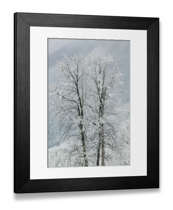 Framed Print : FRANCE-French Alps (Isere)-VIZILLE: Chateau de Vizille Park after winter storm Framed Print : FRANCE-French Alps (Isere)-VIZILLE: Chateau de Vizille Park after winter storm