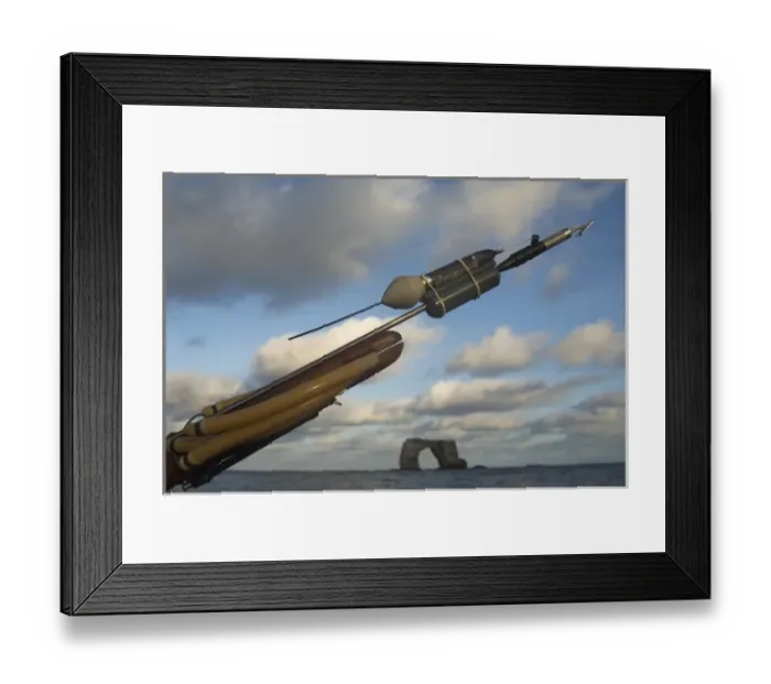 Framed Print : PAT (Satellite Tag) for tagging a Whale Shark. (PAT tag means Pop off Archival Tag)