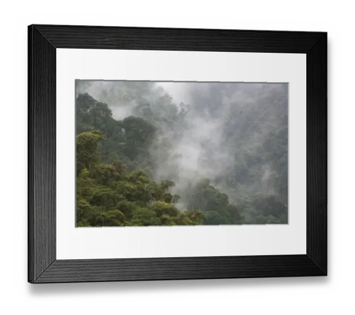 Framed Print : Overview of the cloud forest, Andes Mountains, Tandayapa Birding Lodge, Ecuador