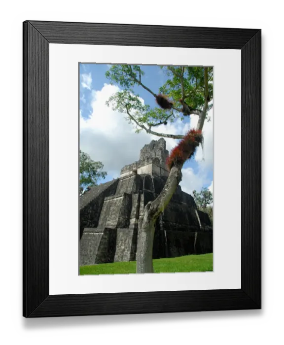 Framed Print : Central America, Guatemala, Petan jungle, Tikal National Park. Main Plaza, temple number 1