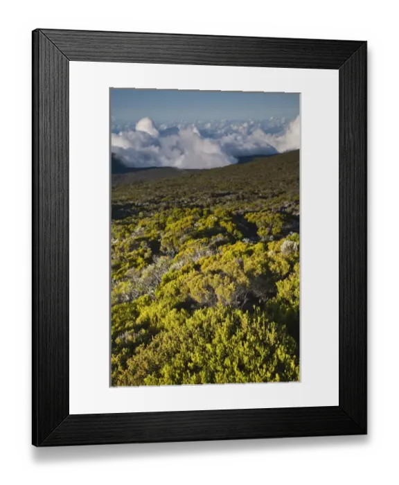 Framed Print : France, Reunion Island, Bourg Murat, Plaine-des-Cafres, landscape on the rim of Framed Print : France, Reunion Island, Bourg Murat, Plaine-des-Cafres, landscape on the rim of