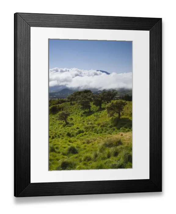 Framed Print : France, Reunion Island, Bourg Murat, Plaine-des-Cafres, landscape on the RF5 towards Framed Print : France, Reunion Island, Bourg Murat, Plaine-des-Cafres, landscape on the RF5 towards
