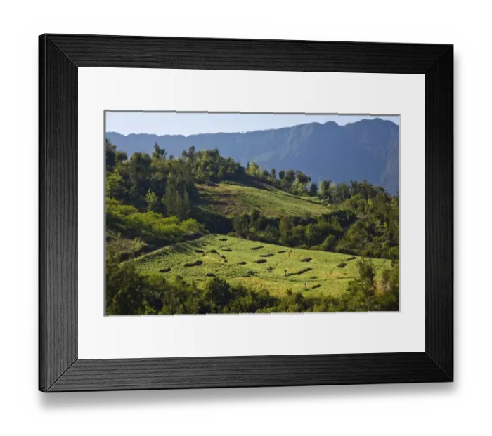 Framed Print : France, Reunion Island, Cirque de Cilaos, Ilet-A-Cordes, town vineyard Framed Print : France, Reunion Island, Cirque de Cilaos, Ilet-A-Cordes, town vineyard