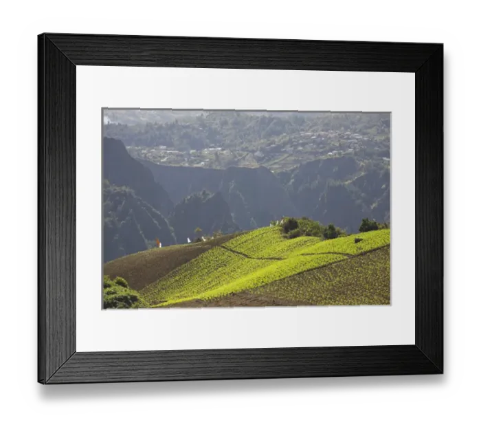 Framed Print : France, Reunion Island, Cirque de Cilaos, Ilet-A-Cordes, town vineyard Framed Print : France, Reunion Island, Cirque de Cilaos, Ilet-A-Cordes, town vineyard