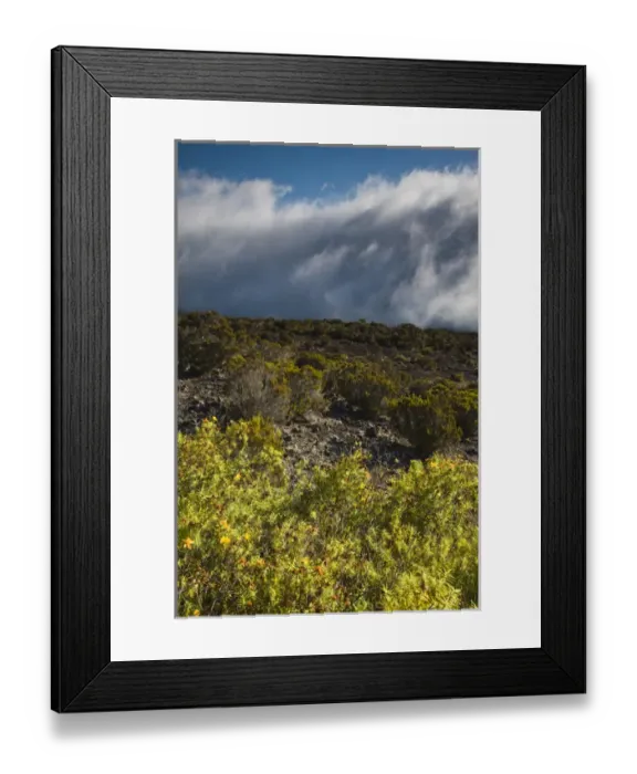 Framed Print : France, Reunion Island, Cirque de Mafate, Le Maido, landscape on Piton Maido Peak (el Framed Print : France, Reunion Island, Cirque de Mafate, Le Maido, landscape on Piton Maido Peak (el