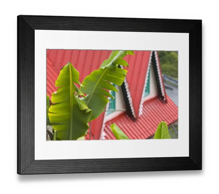 Framed Print : France, Reunion Island, Cirque de Salazie, Hell-Bourg, red roof Framed Print : France, Reunion Island, Cirque de Salazie, Hell-Bourg, red roof
