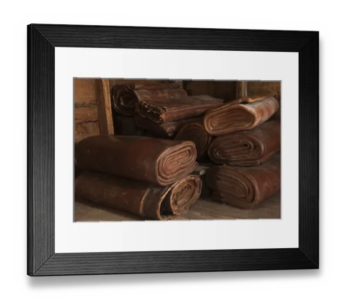 Framed Print : 1000 pounds of rolled Balata for crafts Balata or Bullet Wood Tree is bled for Framed Print : 1000 pounds of rolled Balata for crafts Balata or Bullet Wood Tree is bled for