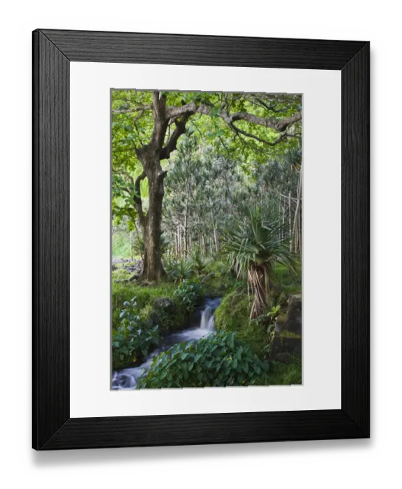 Framed Print : France, Reunion Island, East Reunion, Anse des Cascades, waterfall Framed Print : France, Reunion Island, East Reunion, Anse des Cascades, waterfall