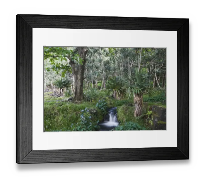 Framed Print : France, Reunion Island, East Reunion, Anse des Cascades, waterfall Framed Print : France, Reunion Island, East Reunion, Anse des Cascades, waterfall