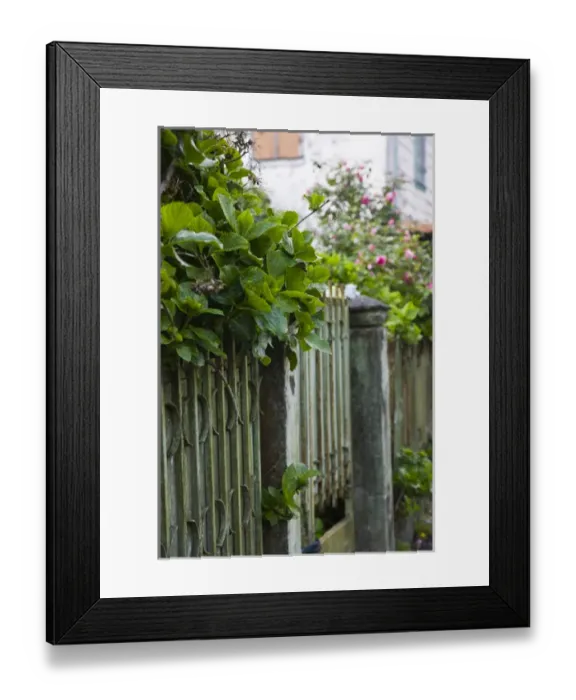 Framed Print : France, Reunion Island, Plaine-des-Palmistes, main street fence Framed Print : France, Reunion Island, Plaine-des-Palmistes, main street fence