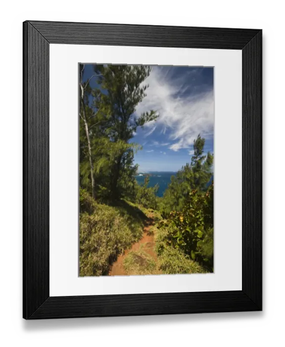 Framed Print : France, Reunion Island, South Reunion, Grande Anse beach path