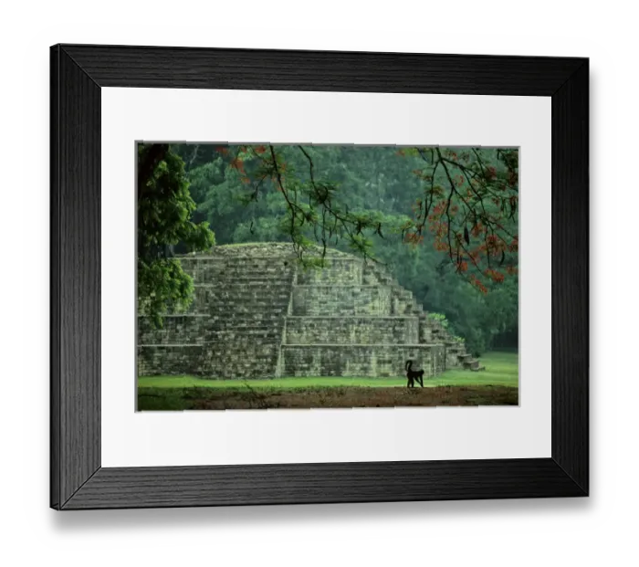 Framed Print : Copan, Honduras, Maya, Royal Tomb Framed Print : Copan, Honduras, Maya, Royal Tomb