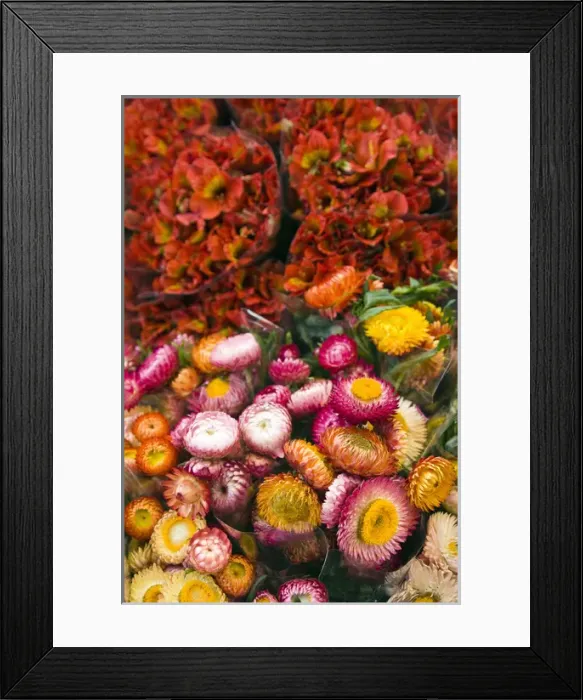 Framed Print : France, Reunion Island, St-Paul, Seafront Market, flower market Framed Print : France, Reunion Island, St-Paul, Seafront Market, flower market