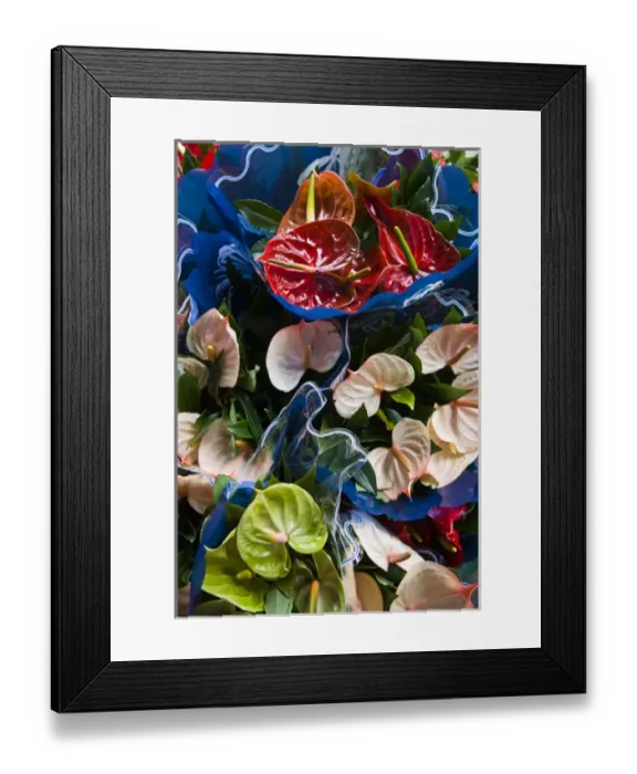 Framed Print : France, Reunion Island, St-Paul, Seafront Market, Flamingo Flower, anthurium andraeanum Framed Print : France, Reunion Island, St-Paul, Seafront Market, Flamingo Flower, anthurium andraeanum