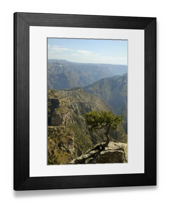 Framed Print : Mexico, State of Chihuahua, Copper Canyon Framed Print : Mexico, State of Chihuahua, Copper Canyon
