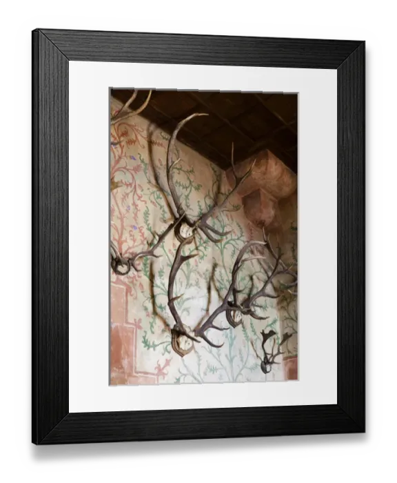 Framed Print : France, Haut-Rhin, Alsace Region, Alasatian Wine Route, Haut Koenigsbourg Chateau Framed Print : France, Haut-Rhin, Alsace Region, Alasatian Wine Route, Haut Koenigsbourg Chateau