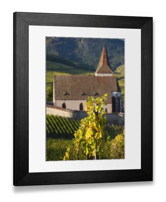Framed Print : France, Haut-Rhin, Alsace Region, Alasatian Wine Route, Hunawihr, town church and vineyards Framed Print : France, Haut-Rhin, Alsace Region, Alasatian Wine Route, Hunawihr, town church and vineyards