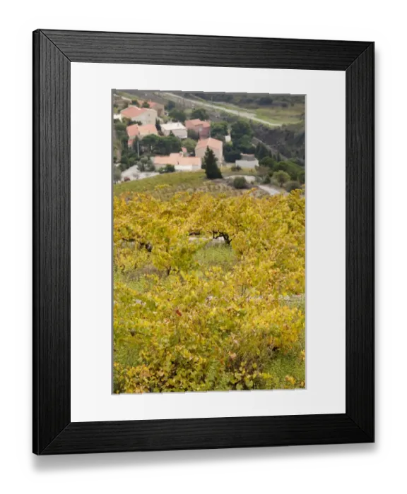Framed Print : France, Languedoc-Roussillon, Pyrennes-Orientales Department, Vermillion Coast Area Framed Print : France, Languedoc-Roussillon, Pyrennes-Orientales Department, Vermillion Coast Area