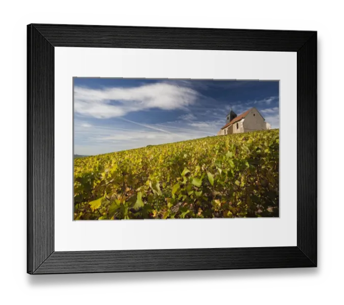 Framed Print : France, Marne, Champagne Ardenne, Mutigny, town church and vineyards