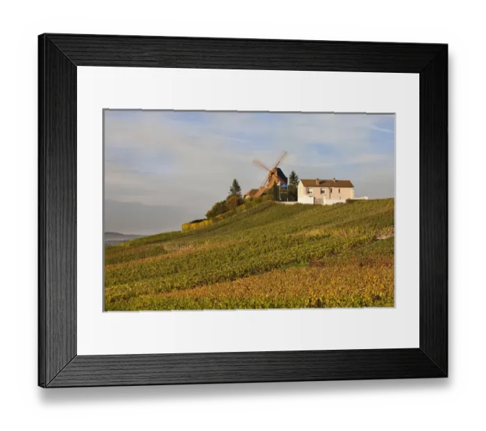 Framed Print : France, Marne, Champagne Ardenne, Verzenay, windmill and vineyards Framed Print : France, Marne, Champagne Ardenne, Verzenay, windmill and vineyards