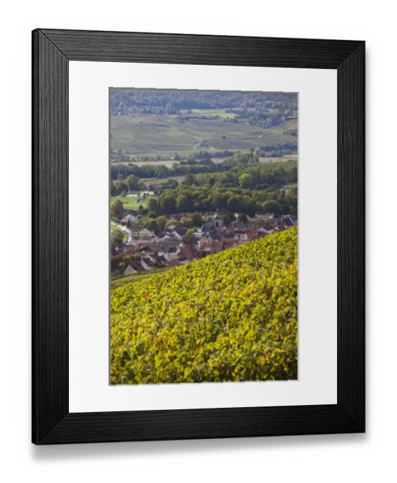 Framed Print : France, Marne, Champagne Region, Cumieres, town overview from vineyards Framed Print : France, Marne, Champagne Region, Cumieres, town overview from vineyards