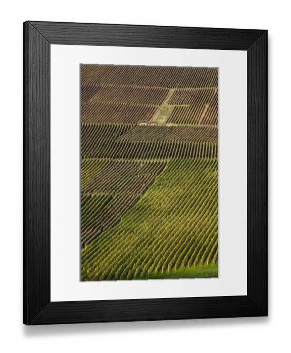 Framed Print : France, Marne, Champagne Region, Hautvillers, vineyard view Framed Print : France, Marne, Champagne Region, Hautvillers, vineyard view