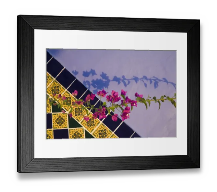 Framed Print : North America, Mexico, Yucatan, Merida. Tiled wall near the pool at the Hotel MedioMundo Framed Print : North America, Mexico, Yucatan, Merida. Tiled wall near the pool at the Hotel MedioMundo