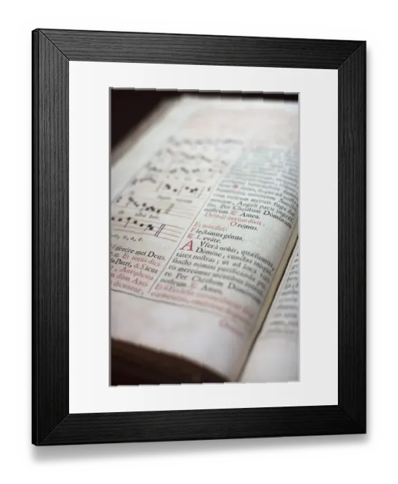 Framed Print : France, Midi-Pyrenees Region, Tarn Department, Albi, Cathedrale Ste-Cecile cathedral Framed Print : France, Midi-Pyrenees Region, Tarn Department, Albi, Cathedrale Ste-Cecile cathedral