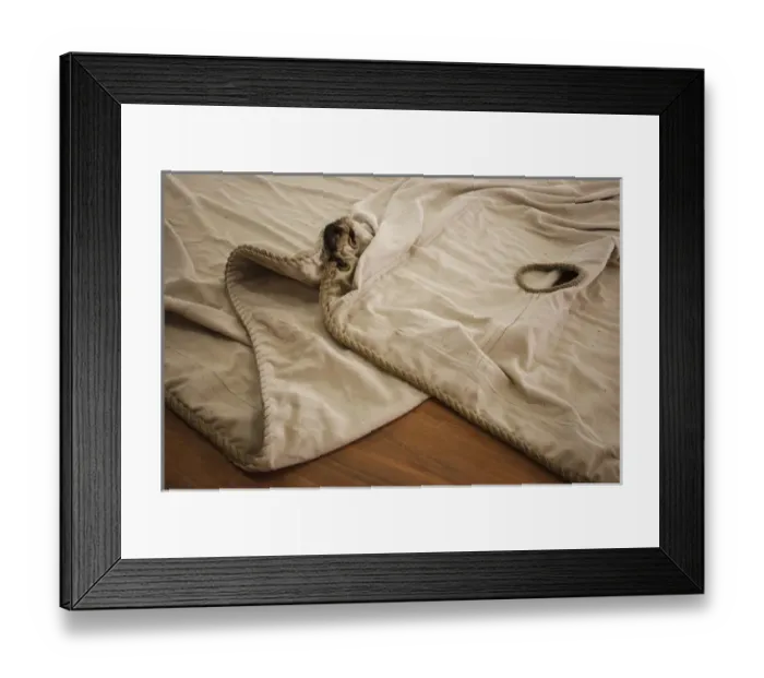 Framed Print : France, Poitou-Charentes Region, Charente-Maritime Department, Rochefort, Corderie Royale Framed Print : France, Poitou-Charentes Region, Charente-Maritime Department, Rochefort, Corderie Royale