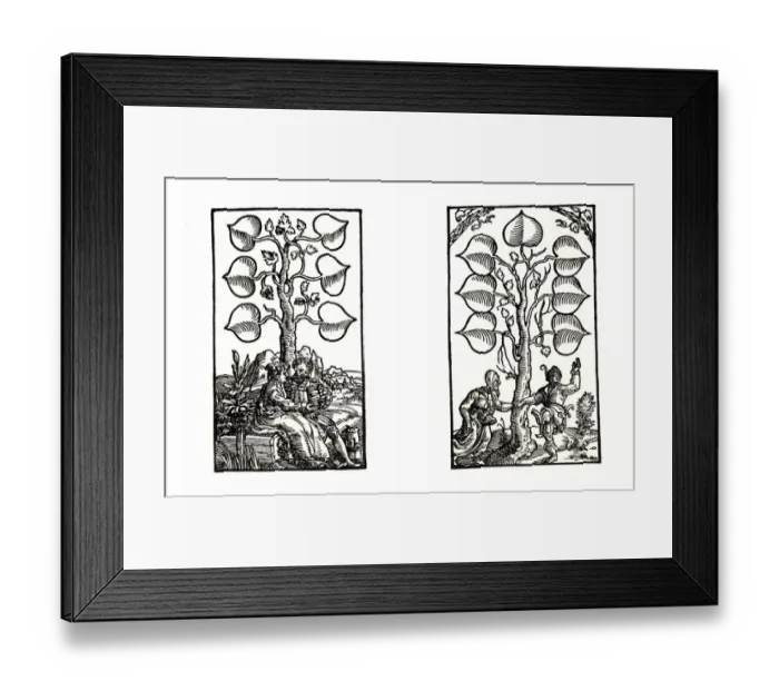Framed Print : Playing cards, German 16th c. Copyright: aAC Ltd Framed Print : Playing cards, German 16th c. Copyright: aAC Ltd