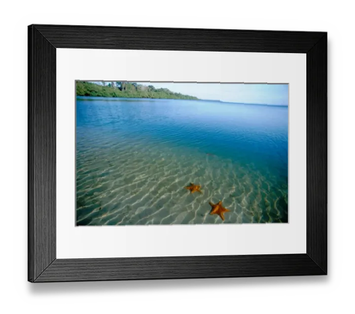 Framed Print : Central America - Panama - Bocas del Toro Province - Boca del Drago - Caribbean Sea Framed Print : Central America - Panama - Bocas del Toro Province - Boca del Drago - Caribbean Sea