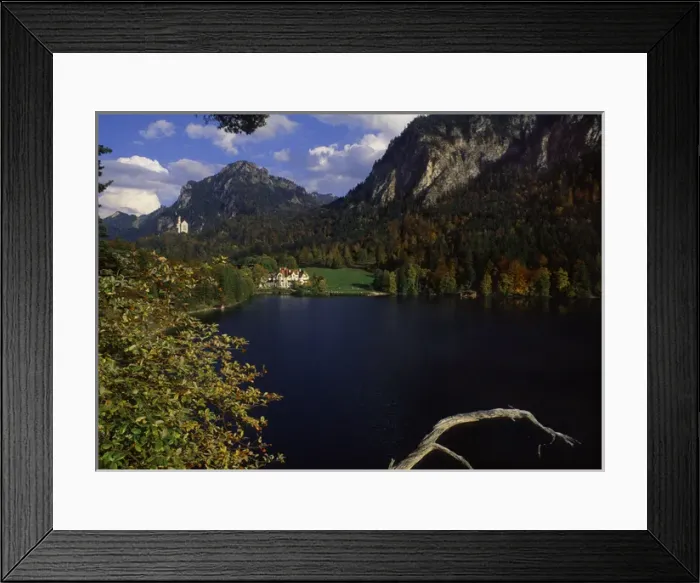Framed Print : Bavarian Alps and Neuschwanstein Castle in Germany Framed Print : Bavarian Alps and Neuschwanstein Castle in Germany