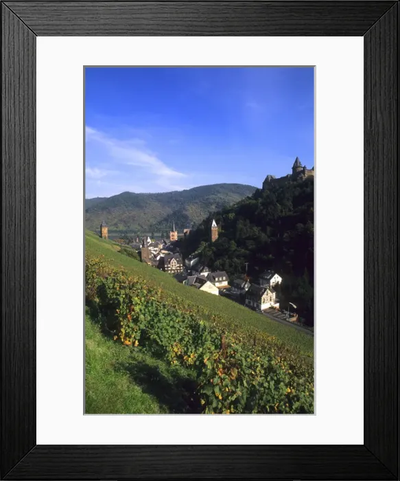 Framed Print : Colorful Wine Vineyards On the Beautiful Rhine River Bacharach Germany Framed Print : Colorful Wine Vineyards On the Beautiful Rhine River Bacharach Germany