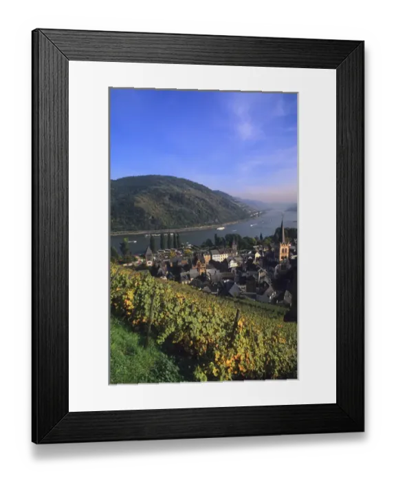 Framed Print : Life in Germany in wine country on the famous Rhine River in the wine fields above Framed Print : Life in Germany in wine country on the famous Rhine River in the wine fields above