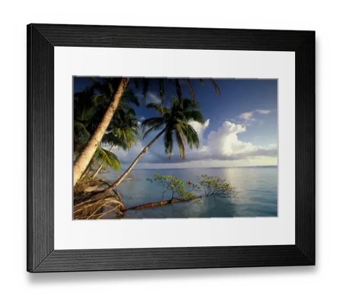 Framed Print : CA, Panama, Caribbean Sea, Bocas Del Toro Island Framed Print : CA, Panama, Caribbean Sea, Bocas Del Toro Island