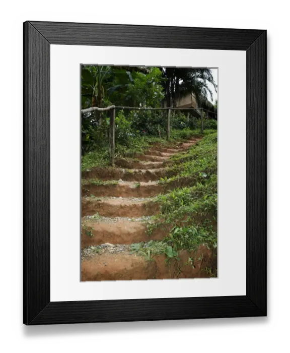 Framed Print : Goa, Panama. A pathway through the Embra Village in the rain forest of Panama Framed Print : Goa, Panama. A pathway through the Embra Village in the rain forest of Panama