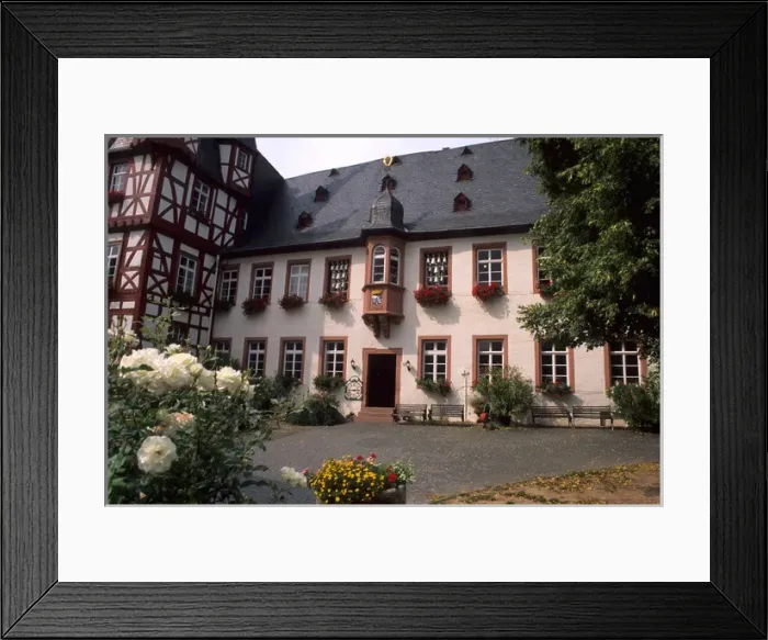 Framed Print : Germany Rudesheim Old Town by Rhine River tourist attraction Siegrried Mechanical
