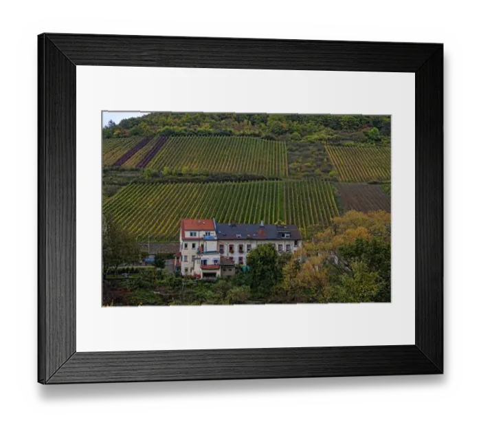 Framed Print : Bacharach Germany wine country village Fall beautiful scenic vineyards on mountain Framed Print : Bacharach Germany wine country village Fall beautiful scenic vineyards on mountain