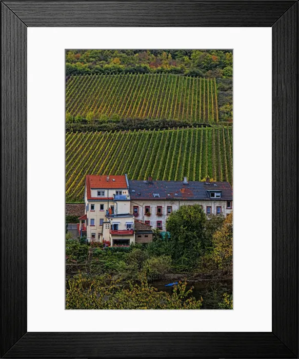 Framed Print : Bacharach Germany wine country village Fall beautiful scenic vineyards on mountain