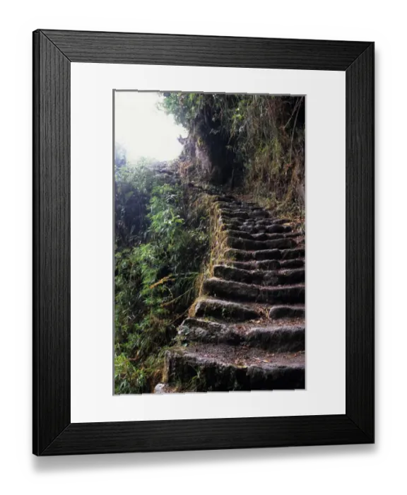 Framed Print : Phuyupatamarca to Winaywina, Peru. Inca mountain roadway / steps on the Inca Trail Framed Print : Phuyupatamarca to Winaywina, Peru. Inca mountain roadway / steps on the Inca Trail