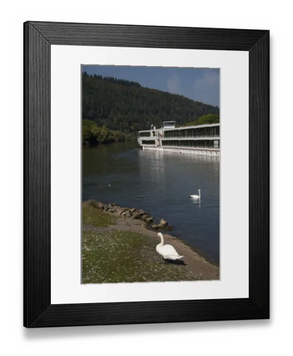 Framed Print : Germany, Franconia, Wertheim. Viking Legend riverboat cruising along Framed Print : Germany, Franconia, Wertheim. Viking Legend riverboat cruising along