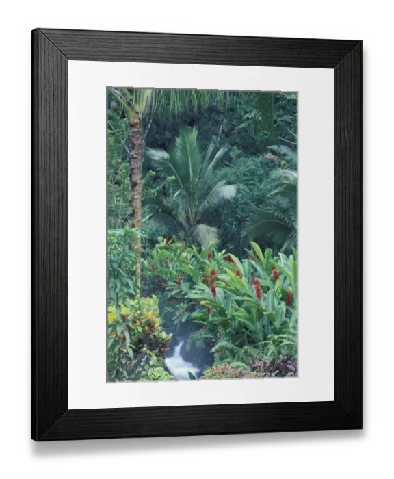 Framed Print : Central America, Costa Rica, Arenal Hot Springs. Tabacon Resort, Hot Spring Gardens Framed Print : Central America, Costa Rica, Arenal Hot Springs. Tabacon Resort, Hot Spring Gardens