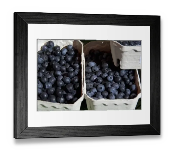 Framed Print : Germany, Bavaria, Passau. Open-air farmers market, blueberries